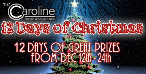 The 2015 12 Days of Christmas Giveaway is here!